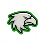 Team Logo Ice Hawks