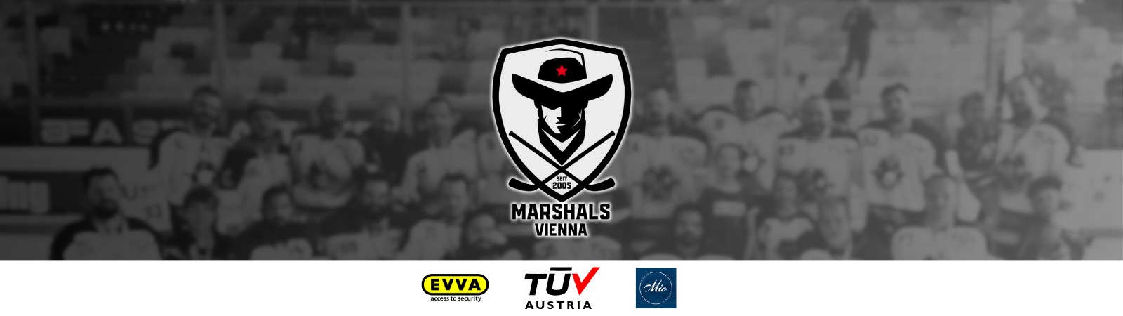 Eishockey-Verein in Wien