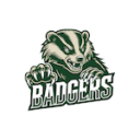 Logo der Vienna Badgers
